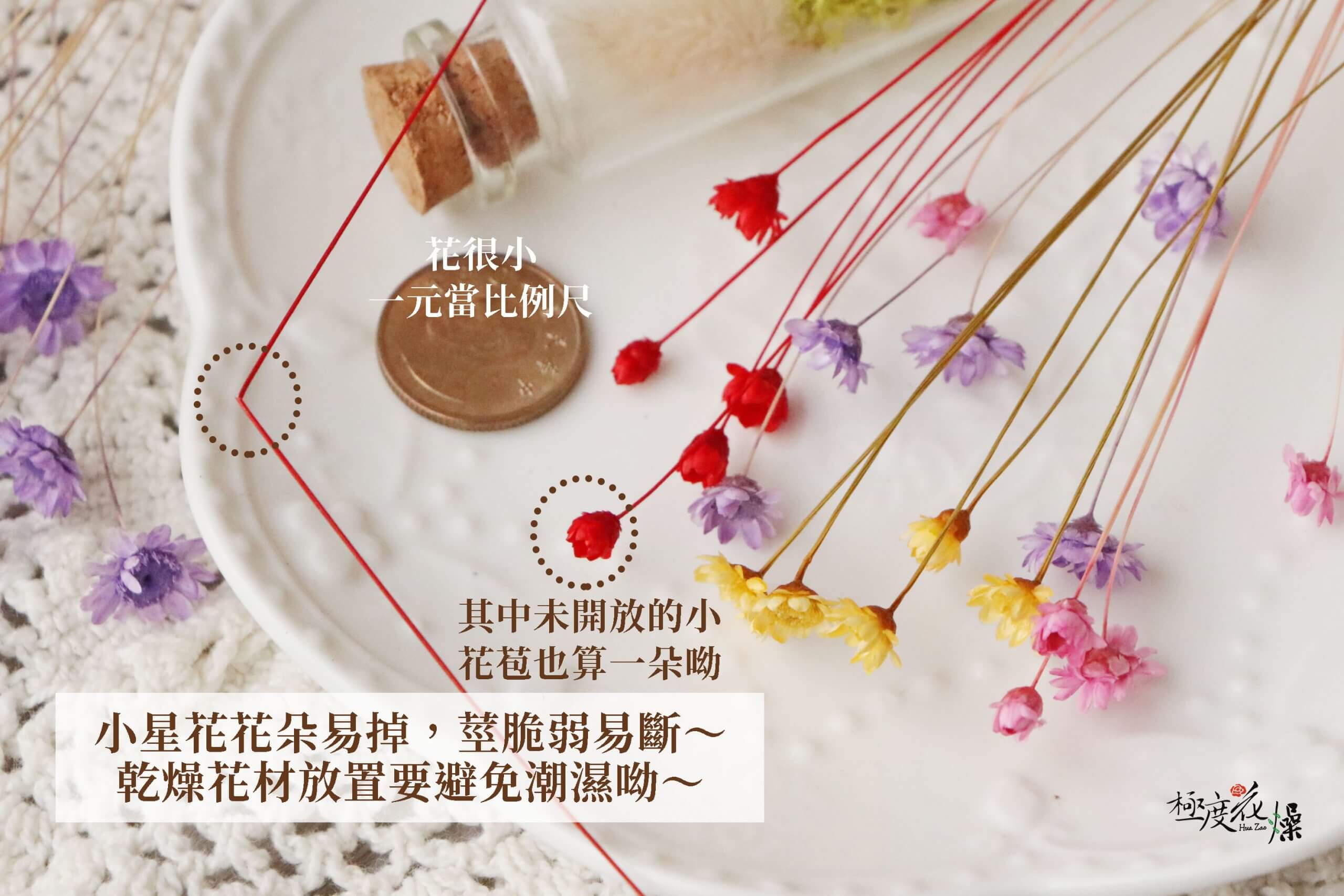 安全_小星花