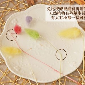 安全_迷你兔尾