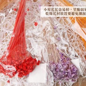 安全 2_小星花