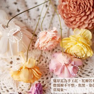 安全 _2.5太陽玫瑰