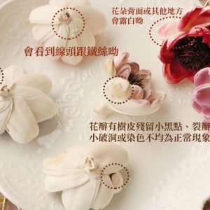 安全 _天女花