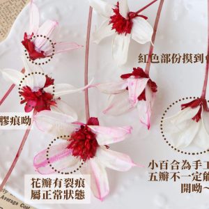 安全 _小百合