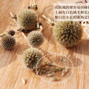 安全 _山防風