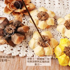 安全 _松花