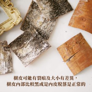 安全 _樺木樹皮