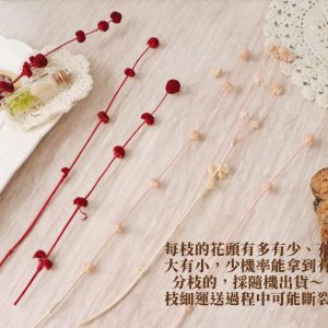安全 _永生小乒乓