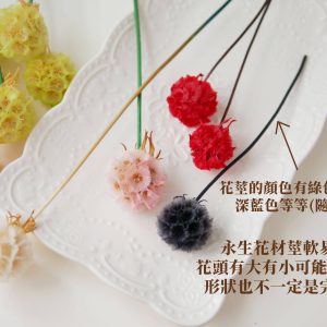 安全 _永生松蟲果
