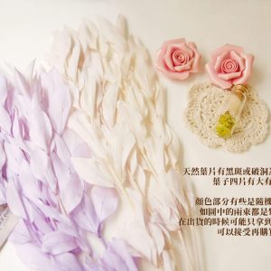 安全 _永生樺木葉
