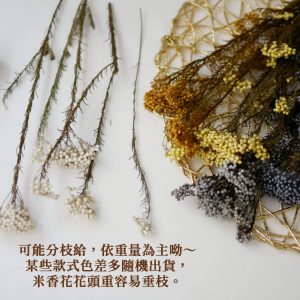 安全 _永生米香花