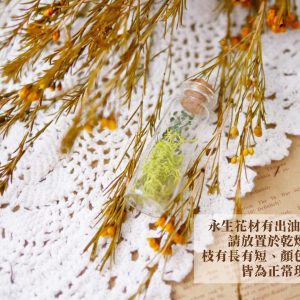 安全 _永生臘梅