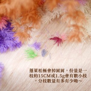 安全 _永生蓬萊松