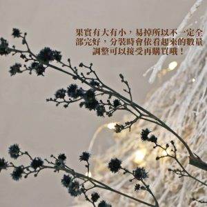 安全 _永生虎眼