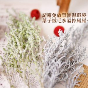 安全 _永生銀膚草