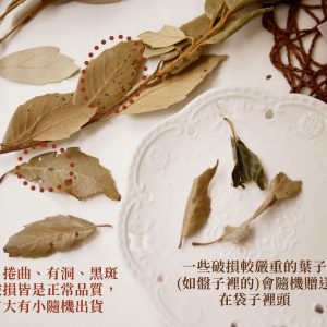 安全 _白栗葉