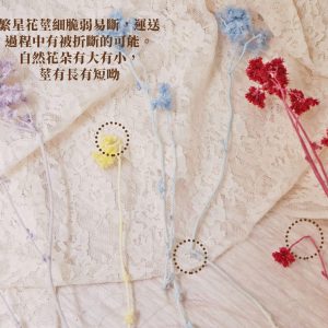 安全 _繁星花