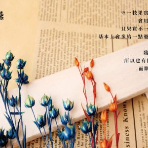 安全_臨花