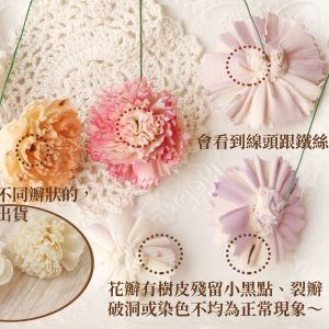 安全 _蓪草雙色康乃馨