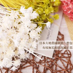 安全_小山花