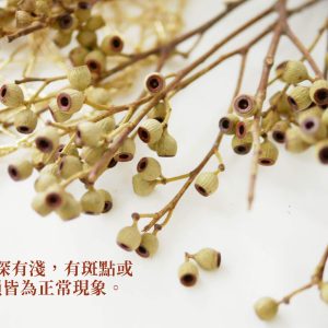 安全 拷貝_整包琥珀果