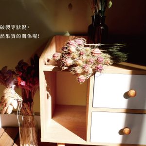 安全1_黑種草果實