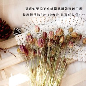 安全2__黑種草果實