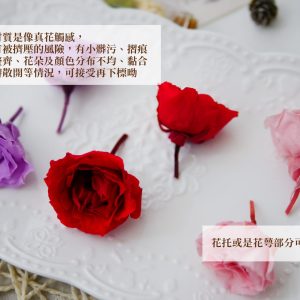安全_01030大地農園瑪加莉卡玫瑰 拷貝