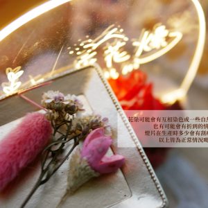 安全_3D燈片材料包 拷貝