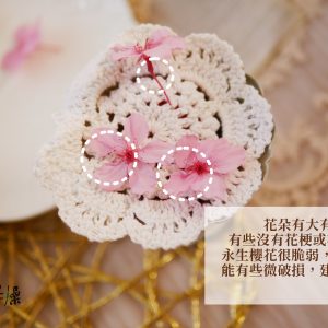 安全__永生櫻花 拷貝
