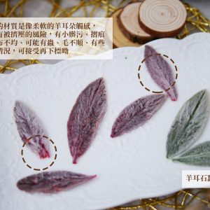 安全_Vermont永生羊耳石蠶葉 拷貝