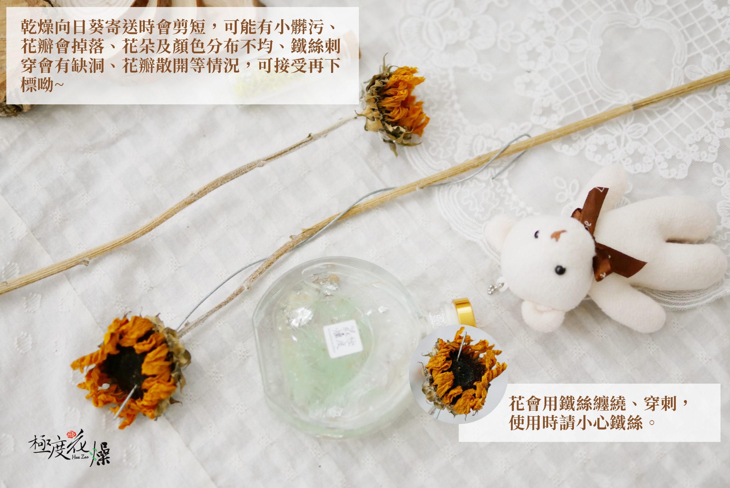 安全_乾燥向日葵 拷貝