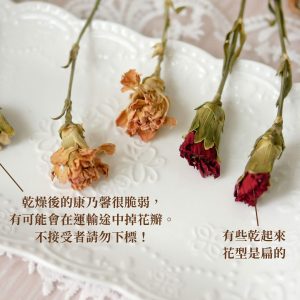 安全_乾燥康乃馨 拷貝