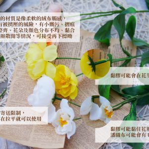 安全_仿真罌粟花 拷貝