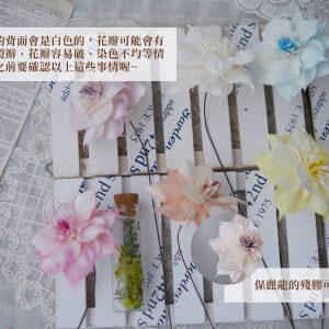 安全_加得利亞 拷貝