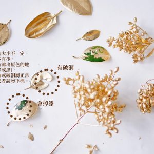 安全_垂榕果噴金 拷貝