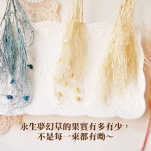 安全_夢幻草