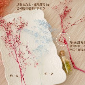 安全_大地農園單色永生滿天星 拷貝