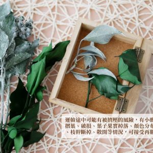 安全_大地農園永生常春藤(長青葉) 拷貝