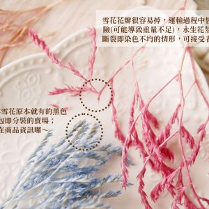 安全_大地雪花 拷貝