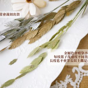 安全_小盼草 拷貝