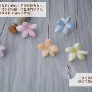 安全_小茉莉 拷貝