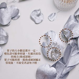 安全_尤加利葉噴銀 拷貝