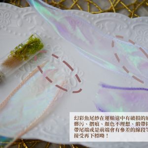 安全_幻彩魚尾紗 拷貝