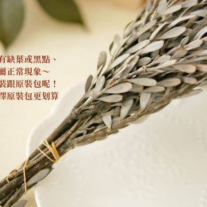 安全_整包永生米蘭葉 拷貝2
