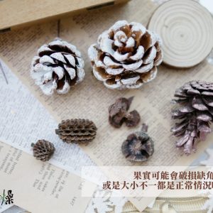 安全_果實小量販包 拷貝