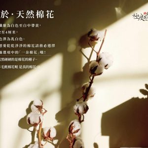 安全_棉花
