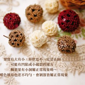 安全_楓葉果 拷貝