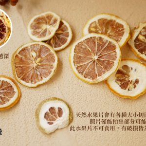 安全_檸檬片 拷貝