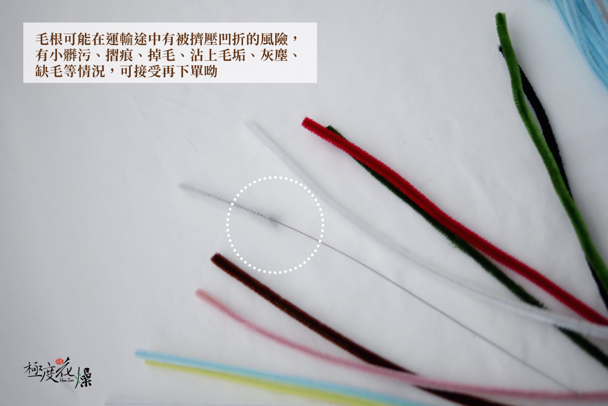 安全_毛根 拷貝