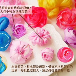 安全_水染蓪草花