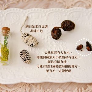 安全_水楊子 拷貝